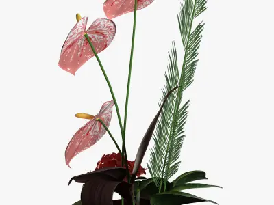 Anthurium bouqet 3D model
