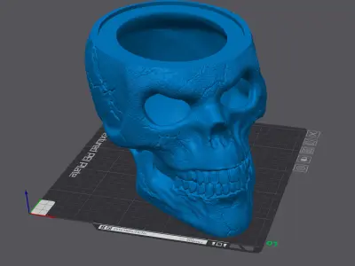 Skull with Rattlesnake - Eyes Open - Hollow Inside 3D print model
