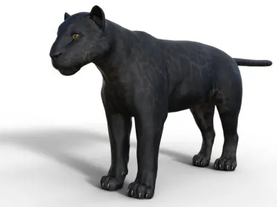 Panter panther 3D model