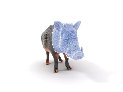 Spotted Boar Creature model pack Low-poly 3D model