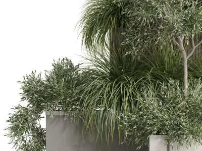 Plants collection 770 3D model