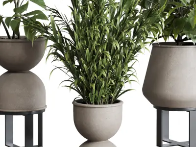indoor plant set 344 ficus palm concrete dirty vase Low-poly 3D model