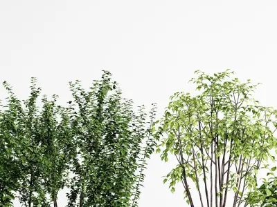 Potting Plant Modern Green 3D model