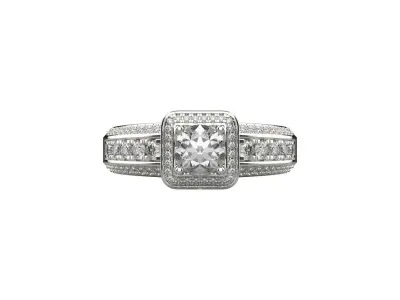 ring code 56 3D print model