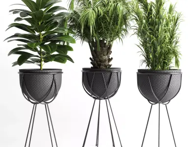 collection Indoor plant 41-metal vase Low-poly 3D model
