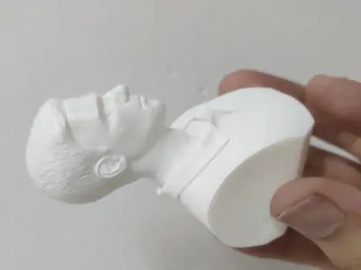 Novak Djokovic 3D Printable 3D print model