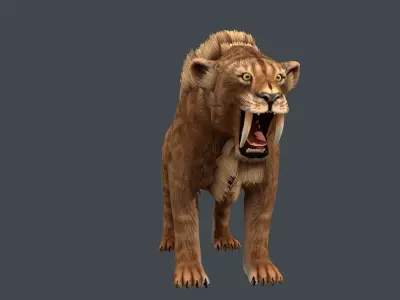 Saber tooth  Low-poly 3D model