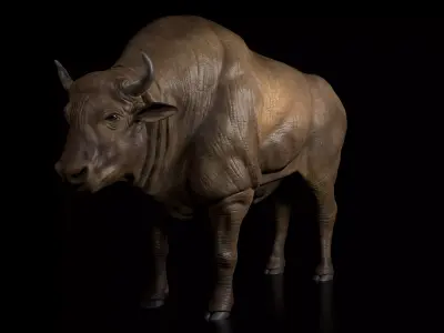 Bison Low-poly 3D model purchase