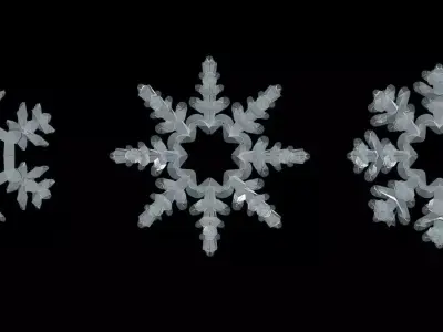Snowflakes snowflake 3D model