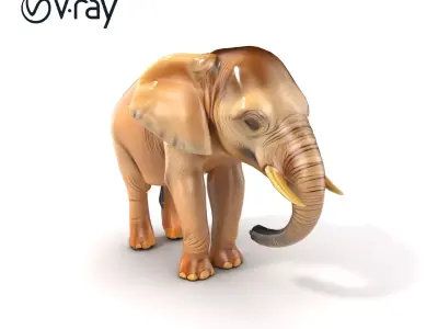 Playful Juvenile Elephant Model Pack Low-poly 3D model