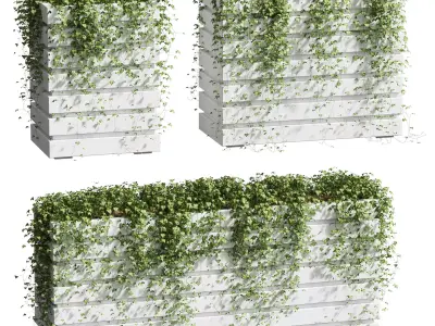 Ivy in tubs - 3 models 3D model