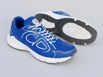 Dior B30 Countdown Sneaker 3D printed shoes Dior 3D print model
