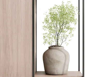 Metal Shelves Decorative With Plants and Book Wooden Rack 01 3D model