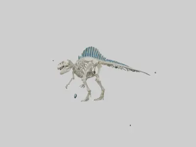 chthyosaurus Skeleton model Low-poly 3D model