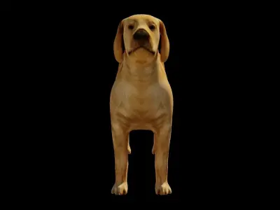 Dog Lowpoly Model golden retriever Low-poly 3D model