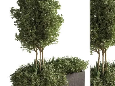 outdoor plant set 08 3D model