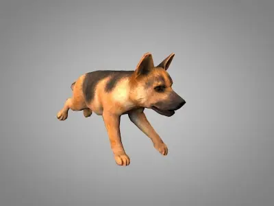 Shepherd german Low-poly 3D model