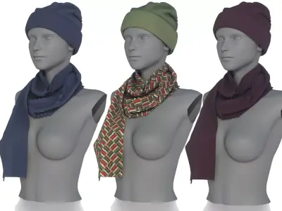 HAT AND SCARF 3D model