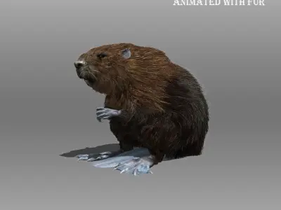 Beaver Animated with Fur 3D model