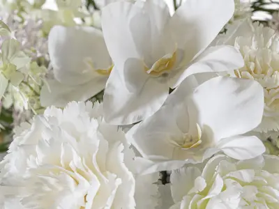 Flower Set 108 Chic Petal Display 3D model