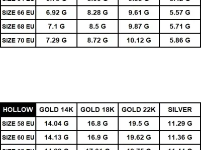  Lion Ring 7 Sizes STL for Jewelry Casting 3D print model 3D print model