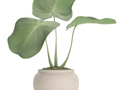 Tropical plant in pot 2 3D model