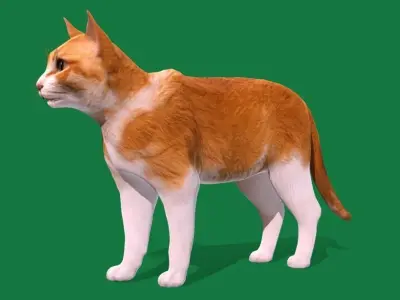 Ginger Cat  Low-poly 3D model