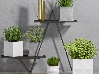 Decorative plant set-69 3D model