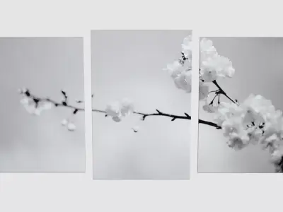 Sakura Wallpaper Decoration 3D model