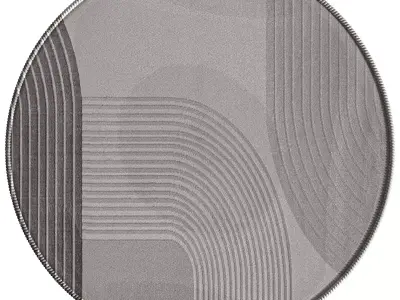 Carpet 5 3D model