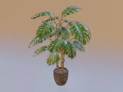 Monstera Plant with Plant Pot Low-poly 3D model