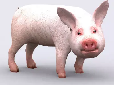 3DRT - Piglet Low-poly 3D model