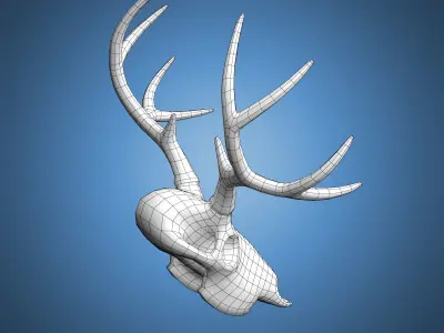 Deer Skull Base Mesh Low-poly 3D model