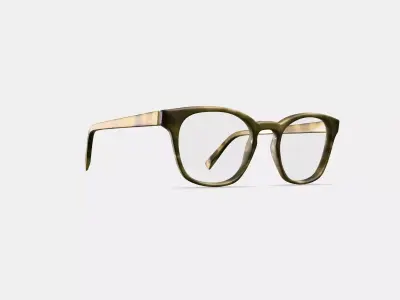 Felix Eyeglasses in Sandalwood Matte 3D model