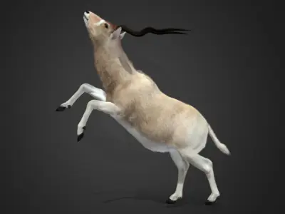 Addax Antelope Realistic 3D model