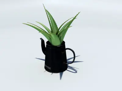 Coffeepot with Aloe Vera plant 3D model
