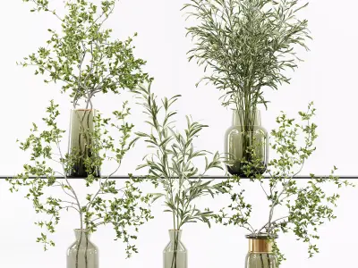 Collection Indoor Plants 016 3D model