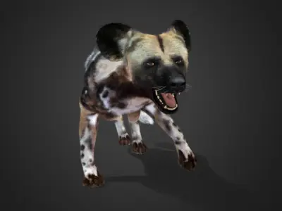 African Wild Dog Realistic Animated 3D model