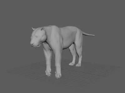 Tiger with bones and UVs 3D model