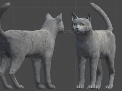 Cat pack 1 Low-poly 3D model