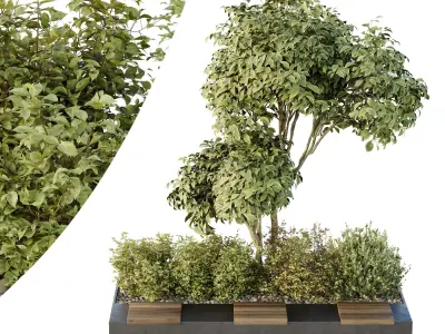 HQ Tree and bush garden box outdoor VOL 34 3D model
