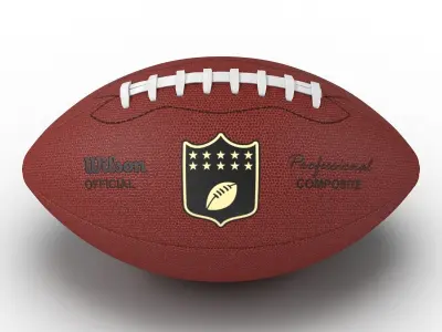 Football Wilson 2 3D model