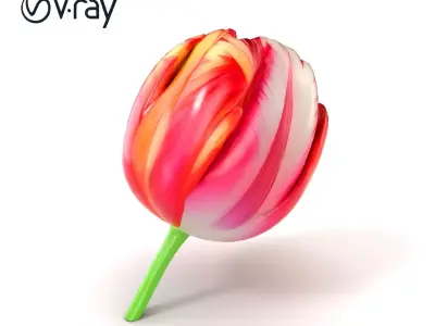 Parrot Tulip Flower Wavy Petals model pack Low-poly 3D model
