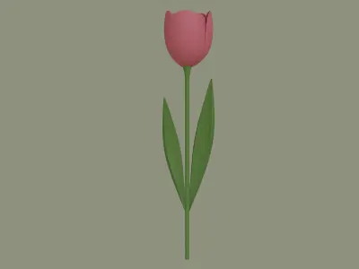 Tulip 3D model