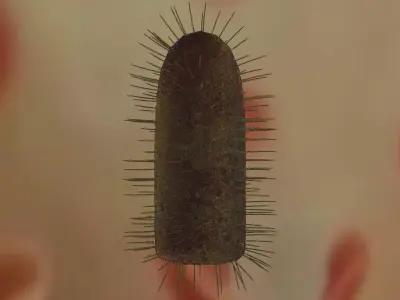 Rabies virus Low-poly 3D model