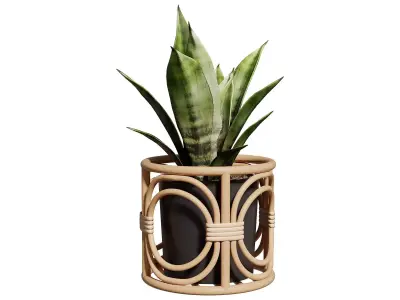 Boca Planter 3D model