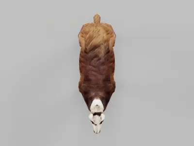 Llama Low-poly 3D model