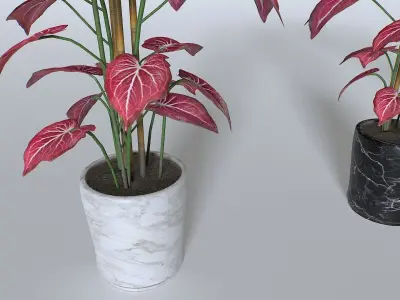 Pot Tropical Plant 2 Low-poly 3D model