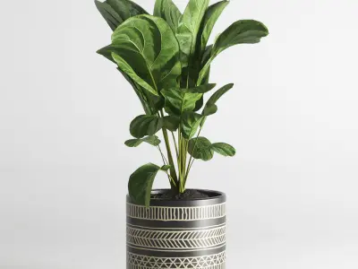 collection Indoor plant 55 vase handmade pottery plant grass pot 3D model