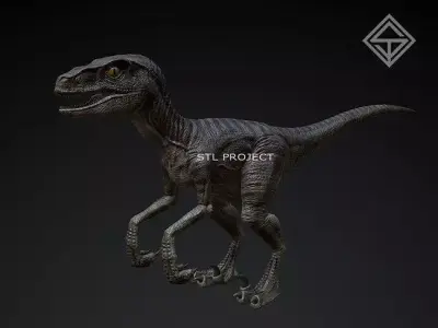 Raptor Low-poly 3D model order